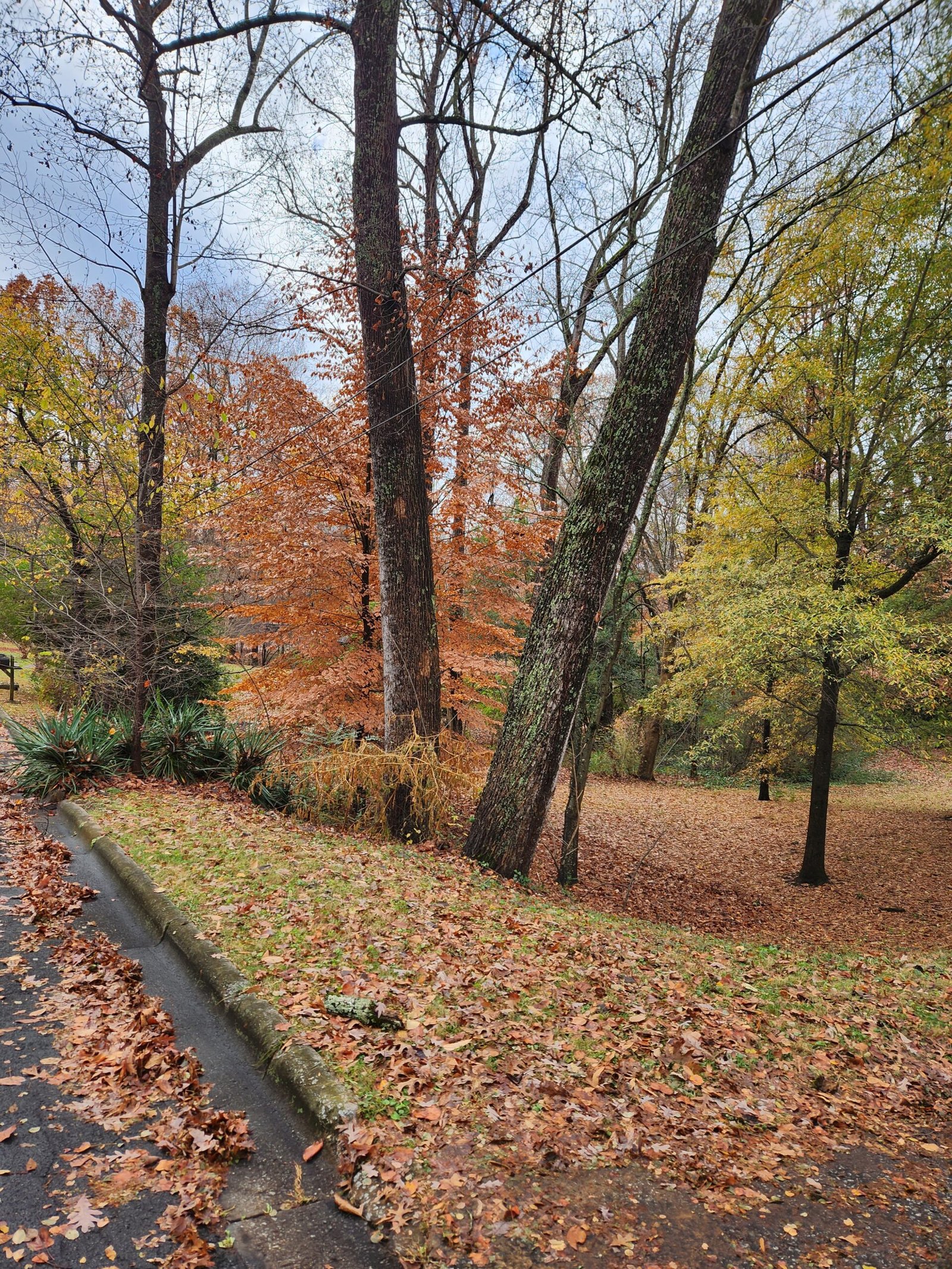 FALL EQUINOX, AGING, AND APPLE BUTTER FALL EQUINOX, AGING, AND APPLE BUTTER